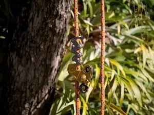 Molonglo Tree service Aussie Tree Lopping Canberra 4 Tree care Canberra ACT