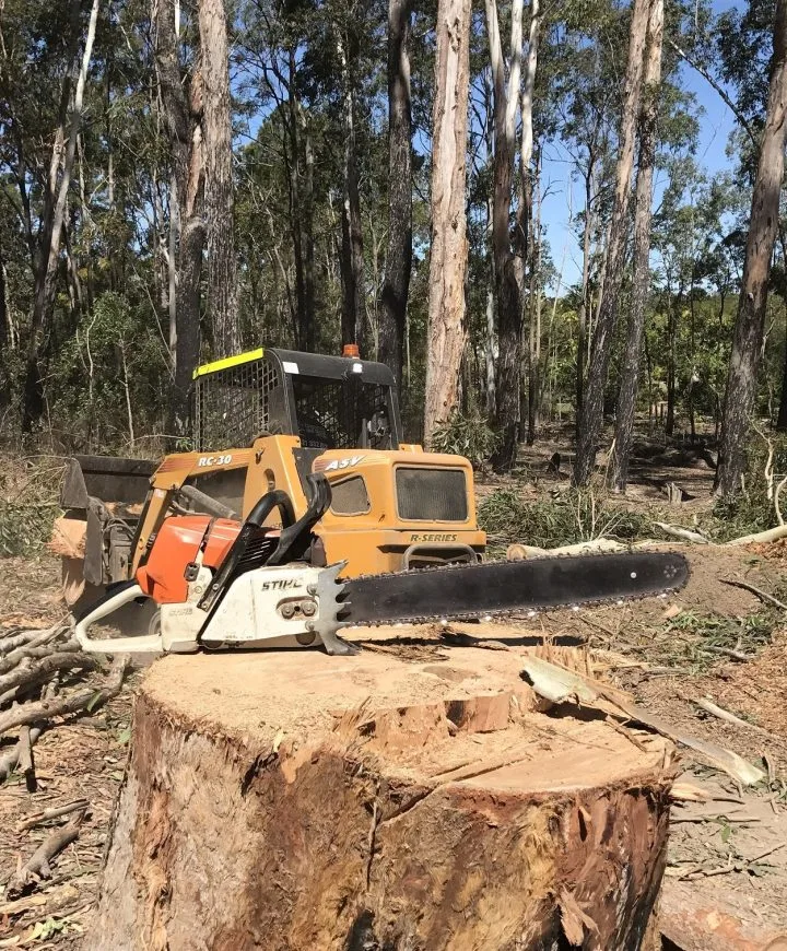 O'Connor Tree service Aussie Tree Lopping Canberra 6 Tree felling Canberra ACT